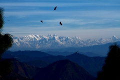 Himalayan view above Vanghat  from Chimtakhal by Nishit Gupta
